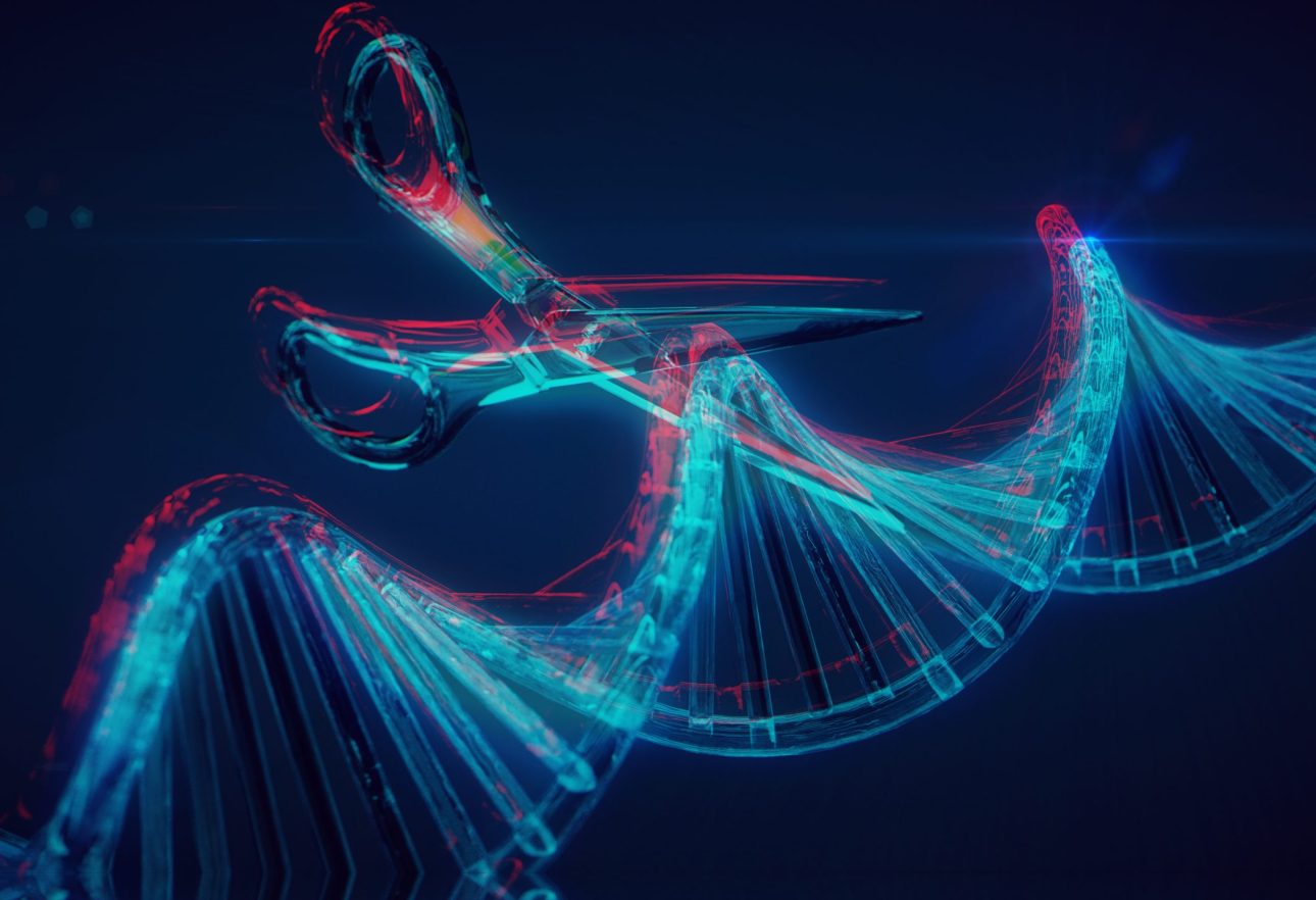 CRISPR gene editing
