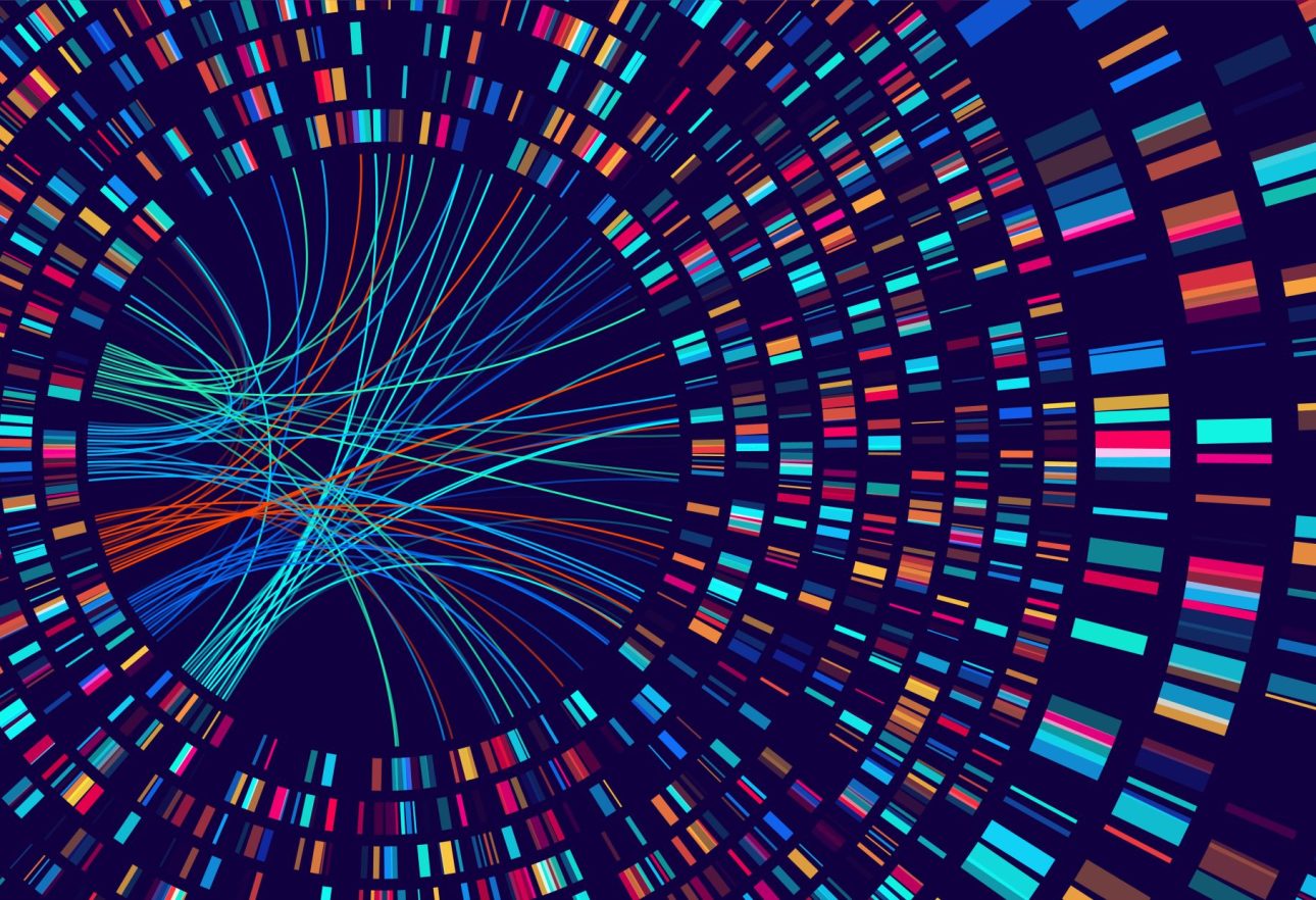 DNA circos plot